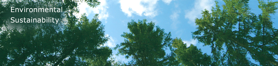 Environmental Sustainability