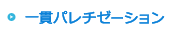 一貫パレチゼーション